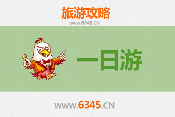 西双版纳景洪自驾一日游攻略：热带风情与傣族文化的完美邂逅