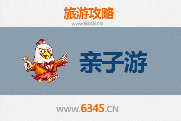 西双版纳景洪亲子游攻略：热带雨林奇遇与民族文化体验